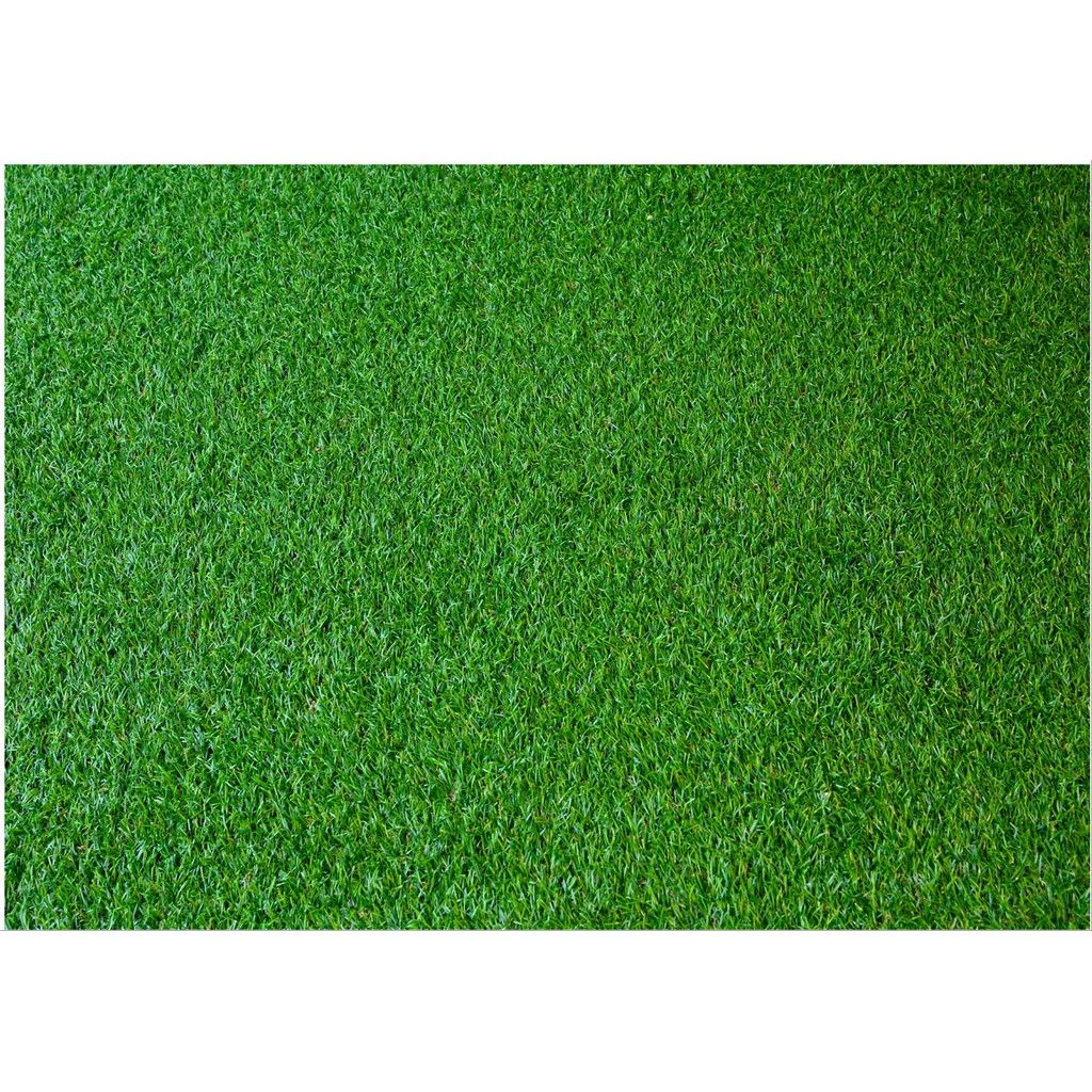 Stok stiker rumput untuk maket